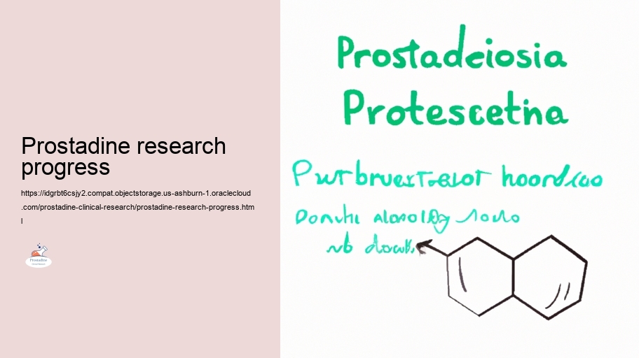 Examining the Efficiency of Prostadine in Prostate Wellness