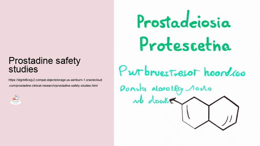 Lasting Results: Comprehending the Prolonged Usage Prostadine