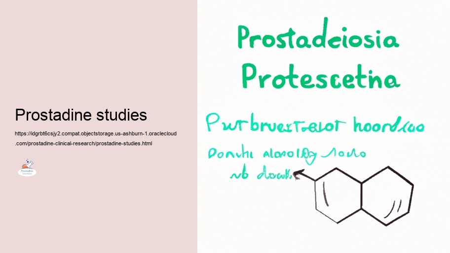 Examining the Performance of Prostadine in Prostate Wellness