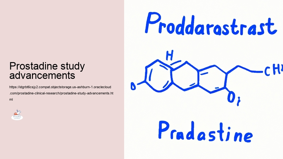 Long-lasting Effects: Comprehending the Prolonged Usage Prostadine