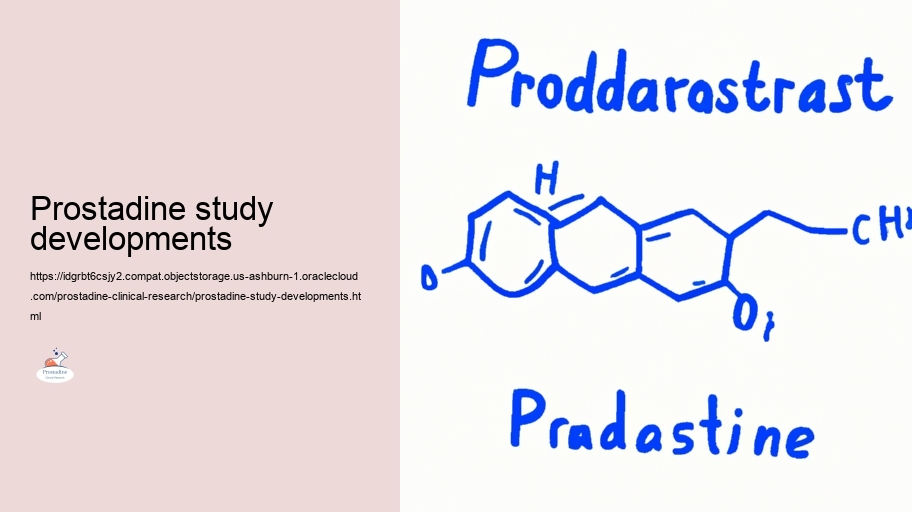 Analyzing the Efficiency of Prostadine in Prostate Health and wellness And Health