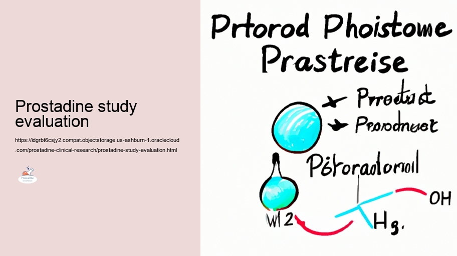 Examining the Efficacy of Prostadine in Prostate Wellness