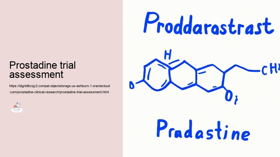 Safety Account: Evaluating the Dangers of Prostadine in Clinical Researches