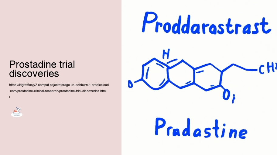 Examining the Efficiency of Prostadine in Prostate Health and wellness And Health