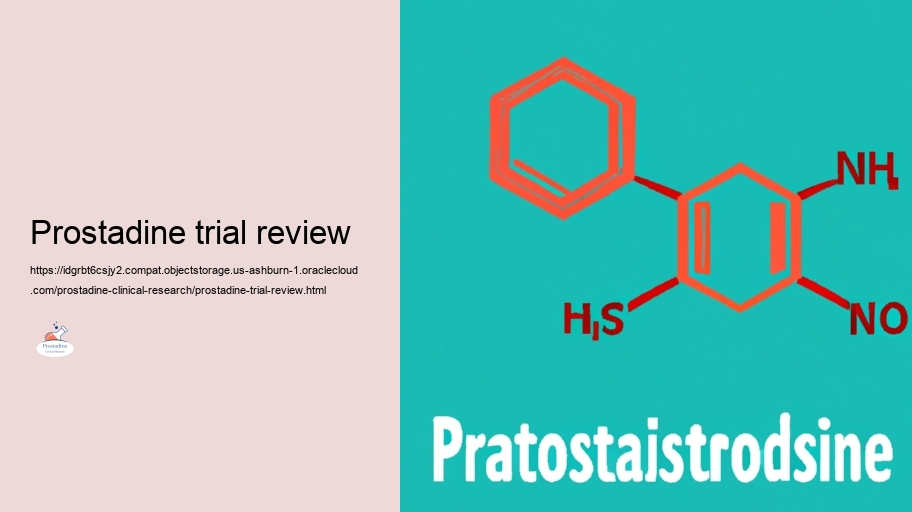 Checking out the Efficiency of Prostadine in Prostate Wellness