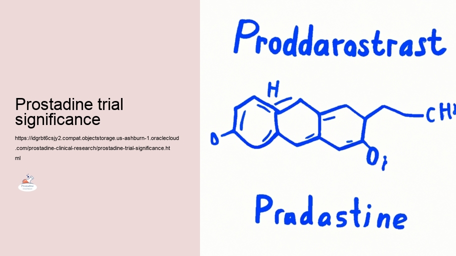 Security And Safety Account: Analyzing the Hazards of Prostadine in Scientific Looks into