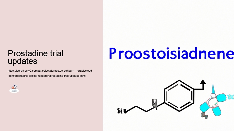 Evaluating the Efficiency of Prostadine in Prostate Health and wellness And Wellness