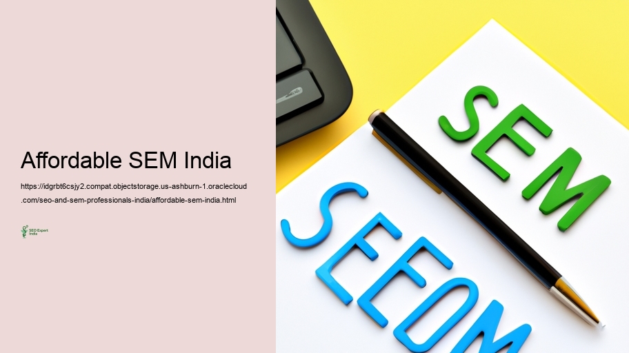 Barriers Faced by Search Engine Optimization and SEM Experts in India