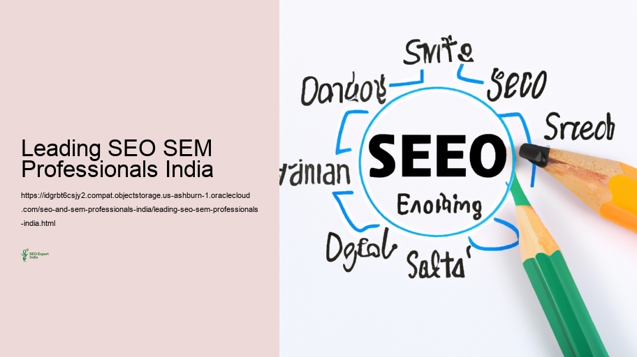 Obstacles Run into by SEARCH ENGINE OPTIMIZATION and SEM Professionals in India