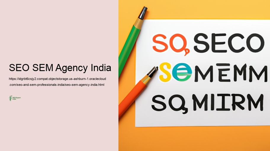Obstacles Dealt With by SEO and SEM Professionals in India