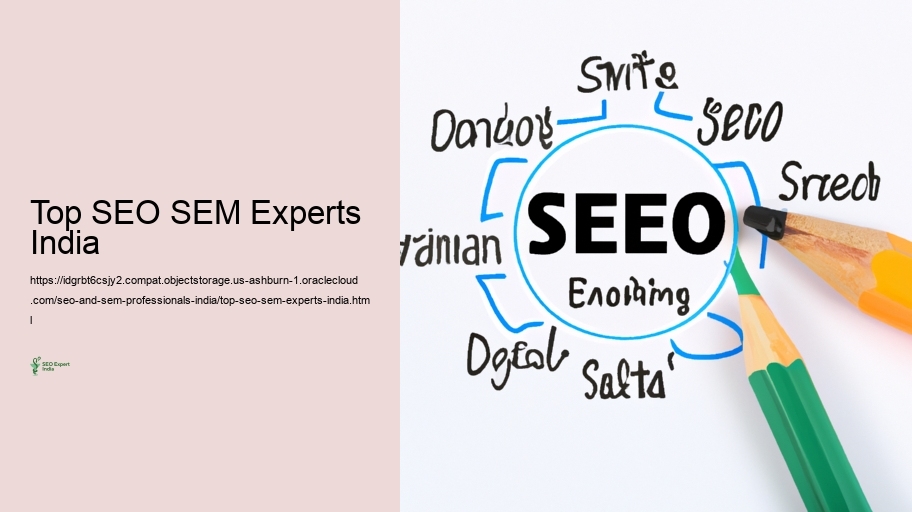 Technique Capabilities and Devices Used by Search Engine Optimization and SEM Experts